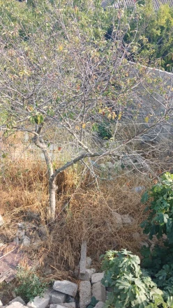 Satılır torpaq sahəsi 3 sot, Bakıxanov-3 Satılır torpaq sahəsi 3 sot, Bakıxanov-3