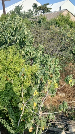 Satılır torpaq sahəsi 3 sot, Bakıxanov-5 Satılır torpaq sahəsi 3 sot, Bakıxanov-5