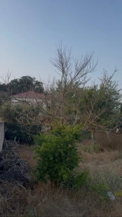 Satılır torpaq sahəsi 20 sot,  Sabunçu-2