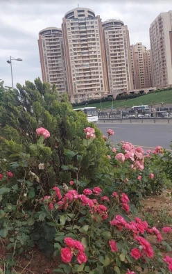 Satılır yeni tikili 3 otaqlı 124 m²,  Yeni Yasamal-3