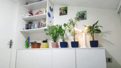 Satılır yeni tikili 2 otaqlı 63 m², Həzi Aslanov m.-16