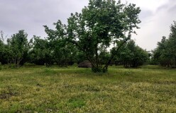 Satılır torpaq sahəsi 106 sot,  Qəbələ-2