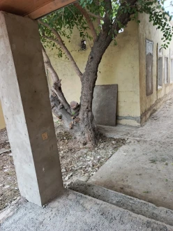 Satılır ev/villa 3 otaqlı 110 m²,  İnşaatçılar m.-17