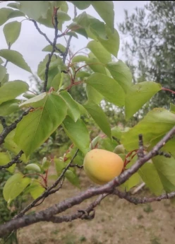 Satılır ev/villa 4 otaqlı 110 m²,  Abşeron-13