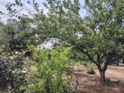 Satılır ev/villa 4 otaqlı 110 m²,  Abşeron-10