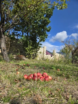 Satılır torpaq sahəsi 14 sot,  İsmayıllı-5