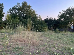 Satılır torpaq sahəsi 10 sot,  İsmayıllı-10