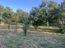 Satılır torpaq sahəsi 10 sot,  İsmayıllı-3