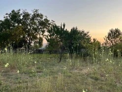 Satılır torpaq sahəsi 10 sot,  İsmayıllı-4