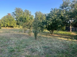 Satılır torpaq sahəsi 10 sot,  İsmayıllı-2