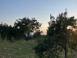 Satılır torpaq sahəsi 10 sot,  İsmayıllı-8