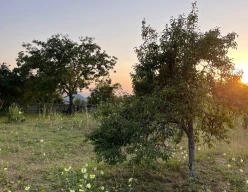 Satılır torpaq sahəsi 10 sot,  İsmayıllı-9