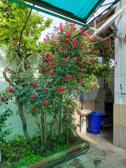 Satılır ev/villa 4 otaqlı 140 m², Azadlıq prospekti m.-19