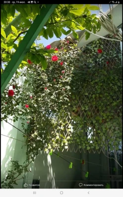 Satılır ev/villa 4 otaqlı 140 m², Azadlıq prospekti m.-17