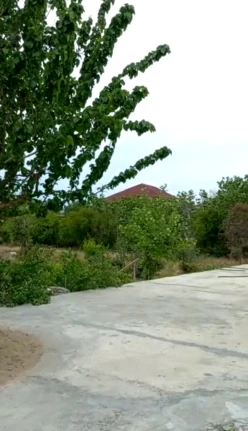 Satılır bağ evi 210 m²,  Maştağa-2